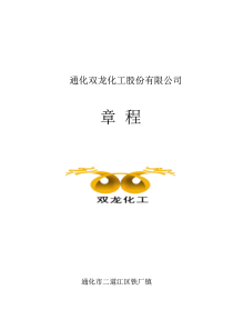 公司章程(XXXX年5月)61965207[1]