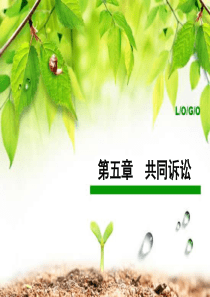共同诉讼和诉讼代表人制度
