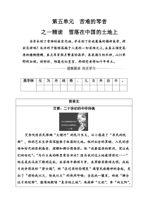 语文选修中国现代诗歌散文欣赏人教版习题诗歌部分第五单元之一精读雪落在中国的土地上Word版