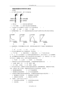 高一生物细胞的能量供应和利用测试