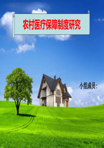 农村医疗保障制度研究