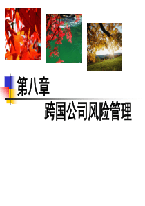 跨国公司管理第八章