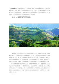 乡村旅游农家乐精典案例