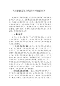 新农村调研报告