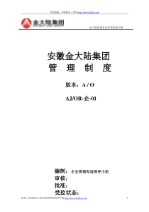 金大陆集团企业管理再造小组
