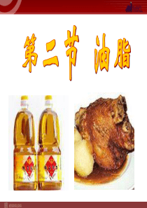 第二节重要的体内能源油脂高中化学课件