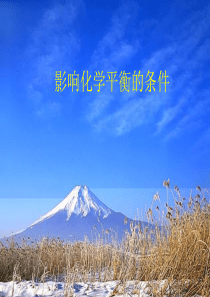 高二化学条件对平衡影响高二化学课件