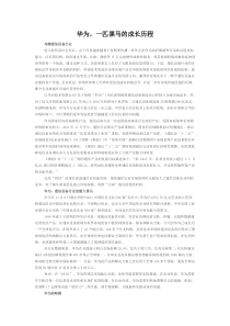 华为历史发展和企业运行机制分析---华为-一匹黑马的成长历程