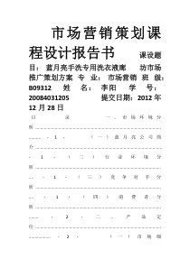 蓝月亮营销策划