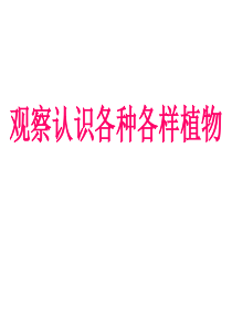 人教版小学科学23各种各样的植物四年级上册PPT课件