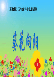 冀教小学科学五年级上册册6葵花向阳PPT课件