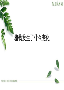 教科版小学科学三年级上册16植物发生了什么变化PPT课件5