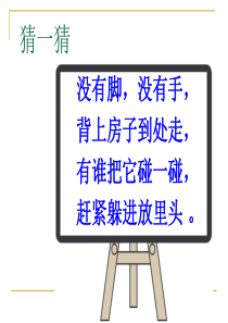 教科版小学科学三年级上册22蜗牛一PPT课件9