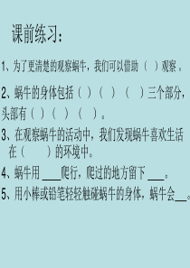 教科版小学科学三年级上册23蜗牛二PPT课件1