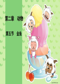 教科版小学科学三年级上册26金鱼PPT课件13