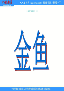 教科版小学科学三年级上册26金鱼PPT课件3