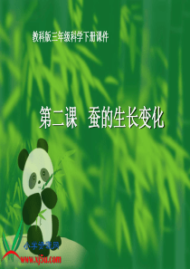 教科版小学科学三年级下册22蚕的生长变化PPT课件4