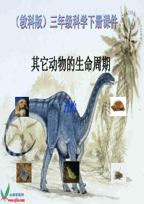 教科版小学科学三年级下册26其他动物的生命周期PPT课件