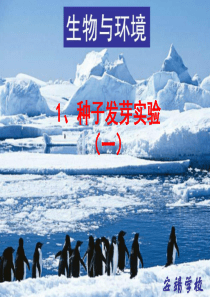 教科版小学科学五年级上册11种子发芽实验一PPT课件8