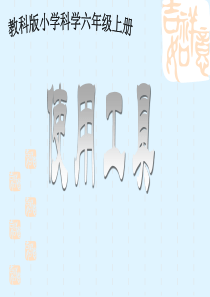 教科版小学科学六年级上册11使用工具PPT课件9