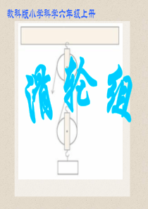 教科版小学科学六年级上册16滑轮组PPT课件8
