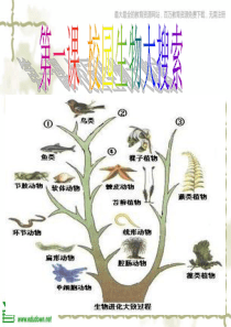 教科版小学科学六年级上册41校园生物大搜索PPT课件9