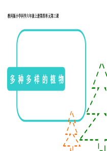 教科版小学科学六年级上册43多种多样的植物PPT课件7