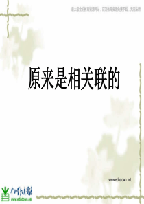 教科版小学科学六年级上册46原来是相关联的PPT课件4