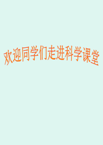 教科版小学科学四年级上册41身体的结构PPT课件3