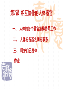 教科版小学科学四年级上册47相互协作的人体器官PPT课件3