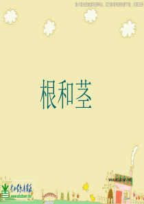 苏教小学科学三年级下册22根和茎PPT课件6