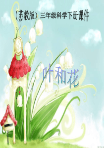 苏教小学科学三年级下册23叶和花PPT课件2