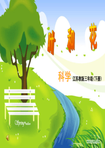 苏教小学科学三年级下册23叶和花PPT课件8