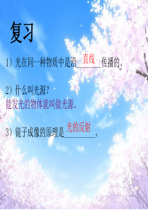 苏教小学科学五年级上册34研究磁铁PPT课件7