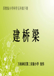 苏教小学科学五年级下册23建桥梁PPT课件4