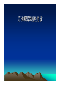 劳动规章制度制定