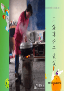 苏教小学科学五年级下册43日益减少的矿物资源PPT课件1