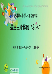 苏教小学科学六年级上册14搭建生命体的积木PPT课件7