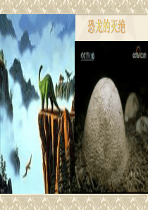 苏教小学科学六年级下册31消失了的恐龙PPT课件9