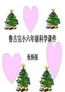 苏教小学科学六年级下册33达尔文与他的进化论PPT课件6