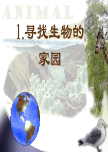 苏教小学科学六年级下册41寻找生物的家园PPT课件7