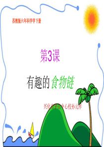苏教小学科学六年级下册43有趣的食物链PPT课件6