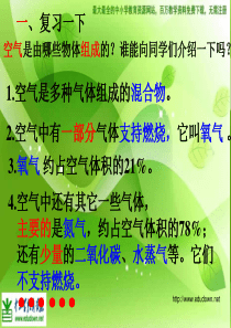 苏教小学科学四年级上册13空气中有什么PPT课件5