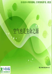 苏教小学科学四年级上册14空气也是生命之源PPT课件13