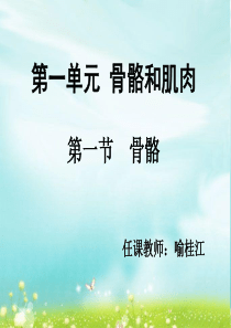 苏教小学科学四年级下册11骨骼PPT课件6