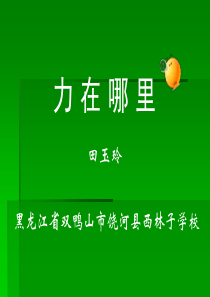苏教小学科学四年级下册41力在哪里PPT课件2