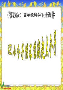 鄂教版小学科学四年级下册优质公开课12小个子能不能跷起大个子PPT课件3