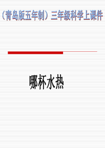 青岛小学科学三年级上册6哪杯水更热PPT课件4