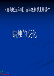 青岛小学科学五年级上册16蜡烛的变化PPT课件
