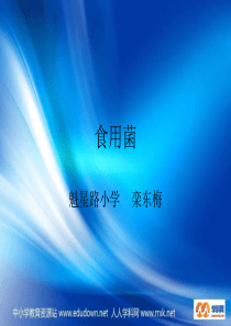 青岛小学科学五年级上册3食用菌PPT课件2